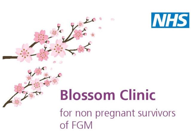 Blossom Clinic logo