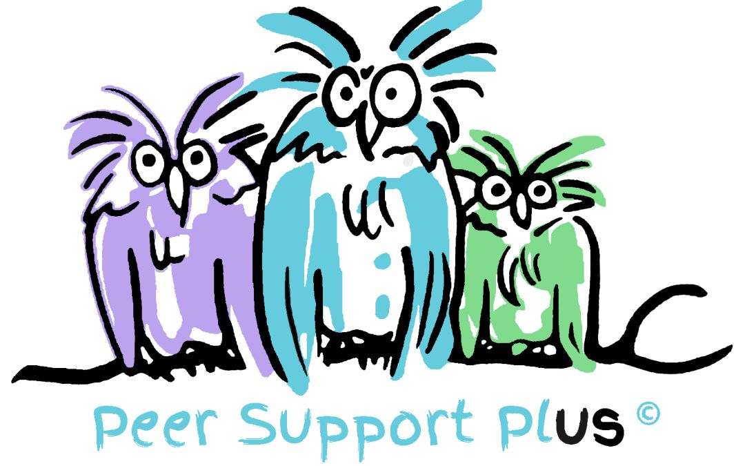 Peer Support Plus